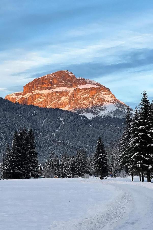 Cesa Pier Sellaronda Dolomiti Apartment Campitello di Fassa Exterior photo