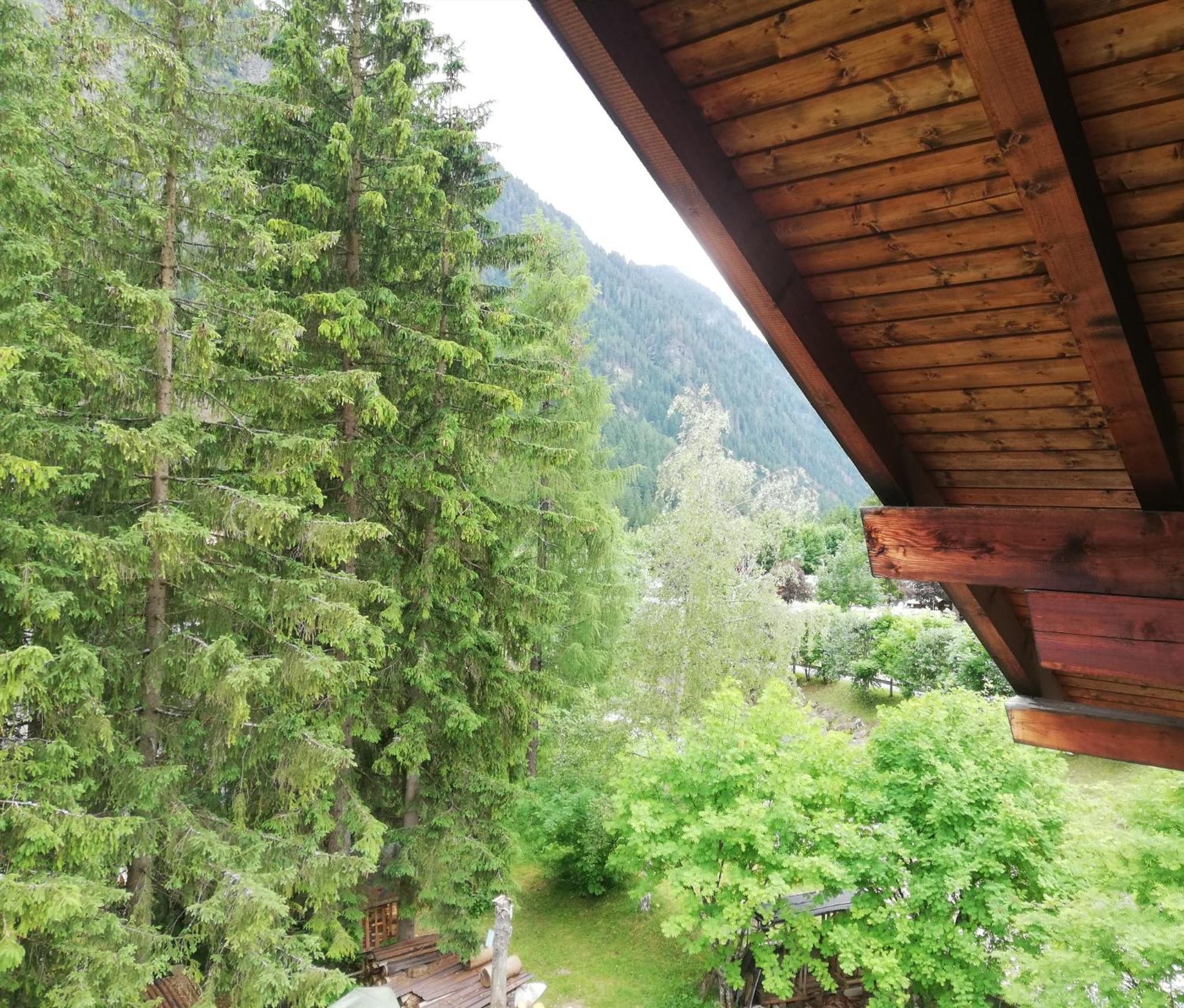 Cesa Pier Sellaronda Dolomiti Apartment Campitello di Fassa Exterior photo